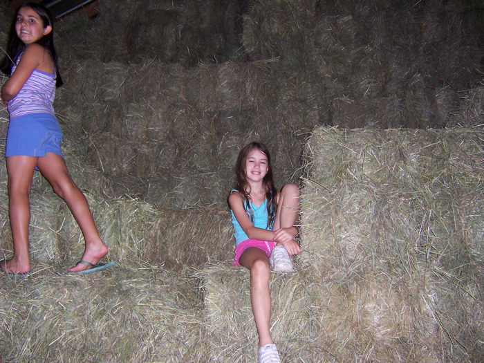 East Hill Farm 2004 - 99