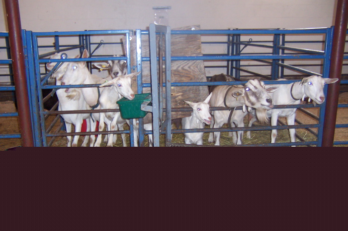 East Hill Farm 2005 - 129