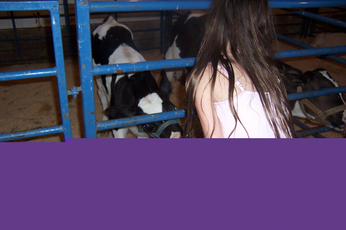 East Hill Farm 2005 - 14