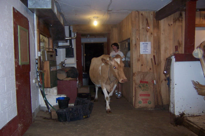 East Hill Farm 2005 - 9