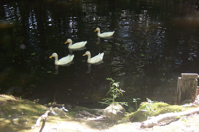 100_7278.JPG