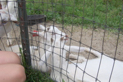 100_7273.JPG