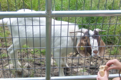 100_7275.JPG
