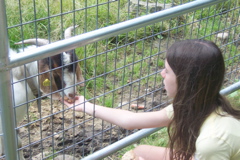 100_7276.JPG