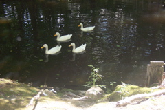 100_7278.JPG