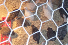 100_7280.JPG