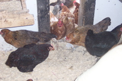 100_7284.JPG