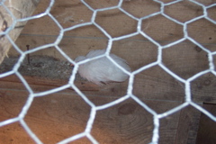 100_7285.JPG