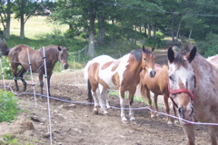 100_7289.JPG
