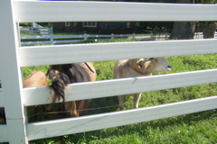100_7294.JPG