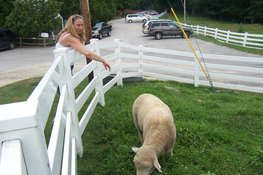 08_the_farm - 118
