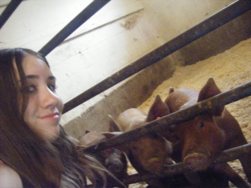08_the_farm_s - 16