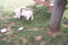 08_the_farm - 55