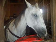 08_the_farm_s - 61