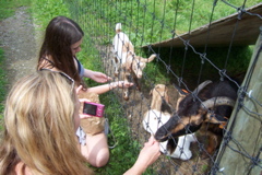 08_the_farm - 68