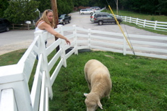 08_the_farm - 118