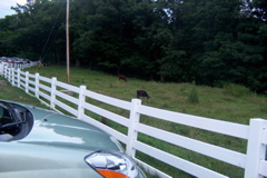 08_the_farm - 132