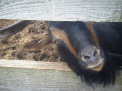 08_the_farm_s - 43