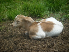 08_the_farm_s - 55